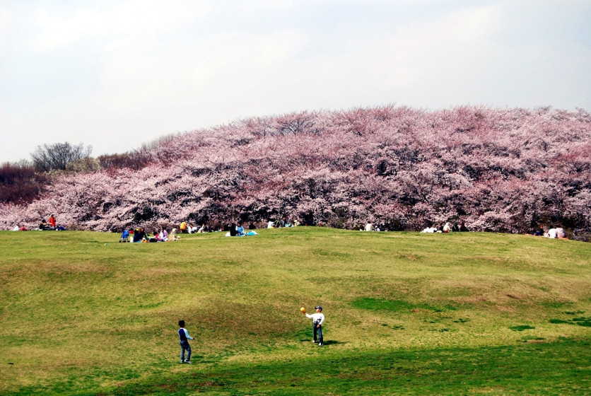 根岸森林公園