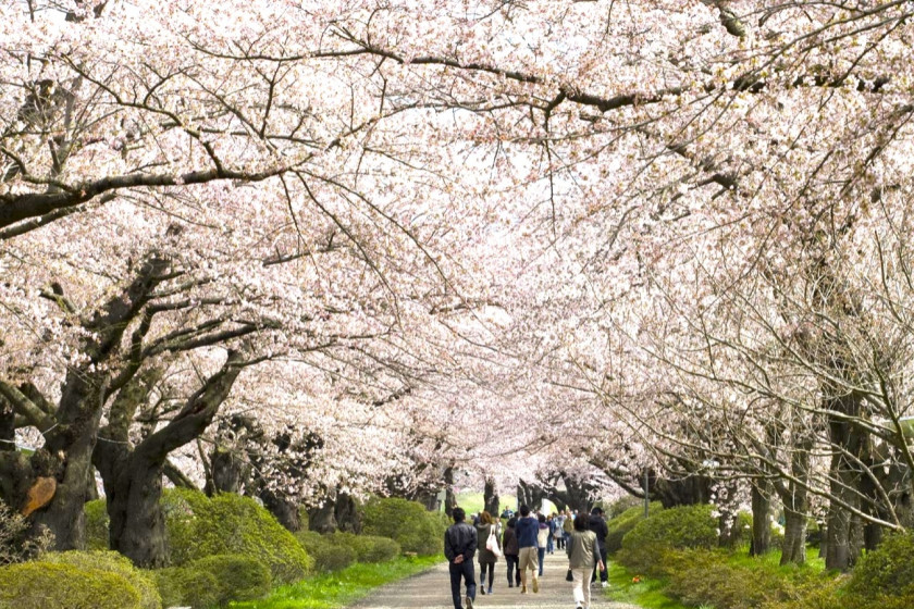 北上展勝地