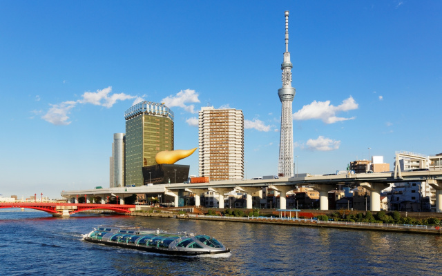 スカイツリー風景